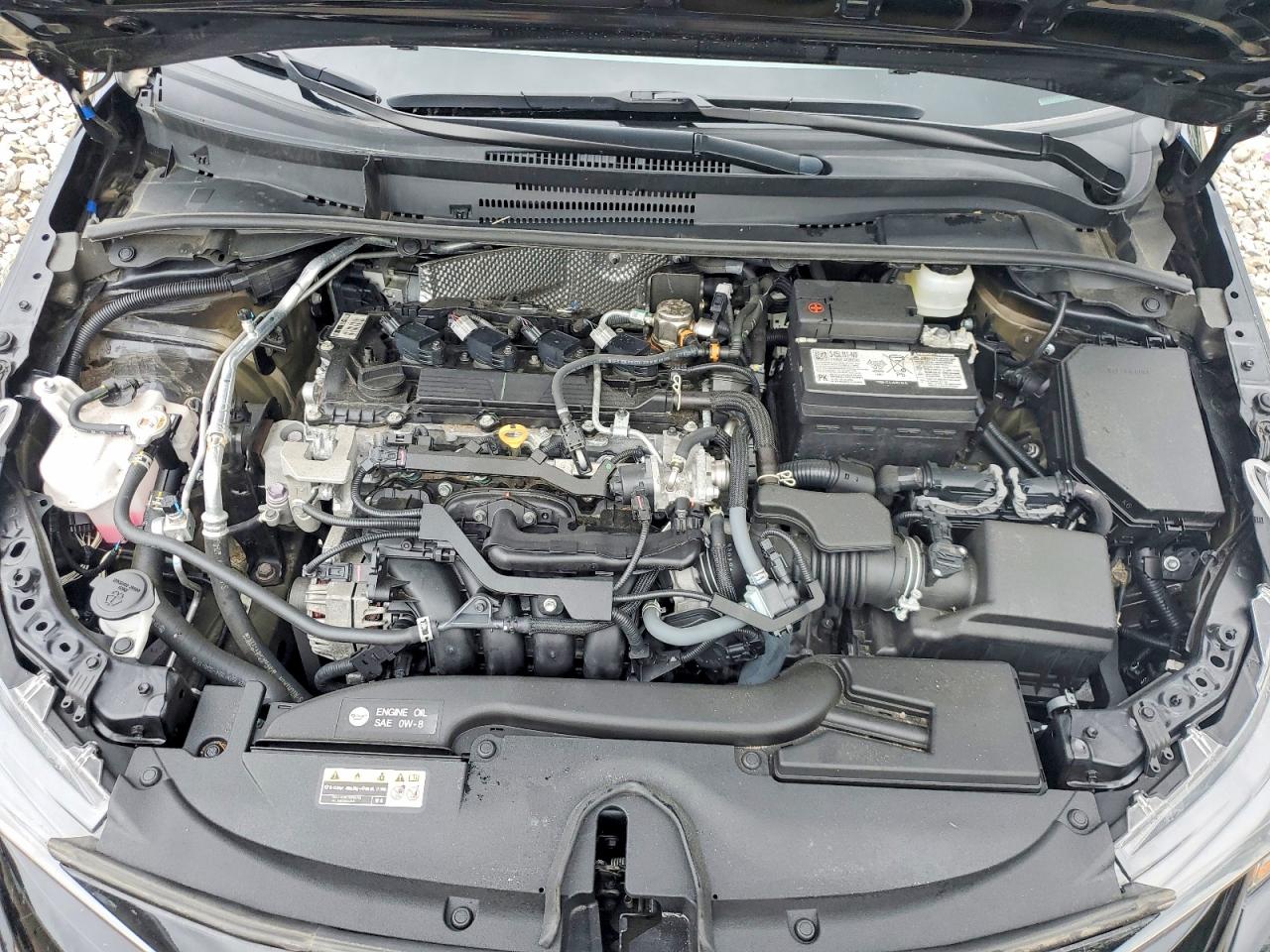 2024 TOYOTA COROLLA