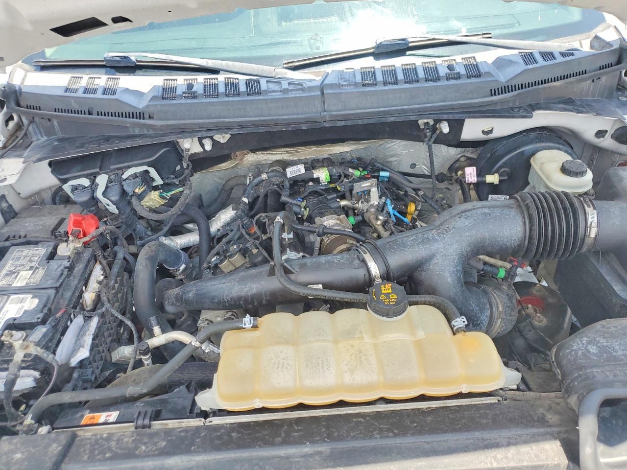 2019 FORD F150