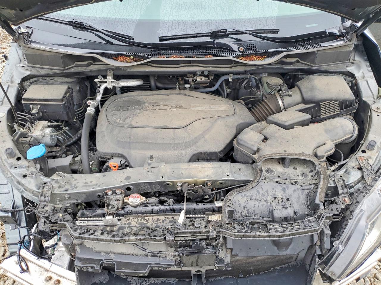 2019 HONDA ODYSSEY