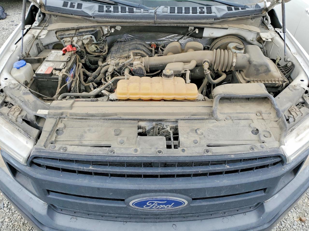 2019 FORD F150