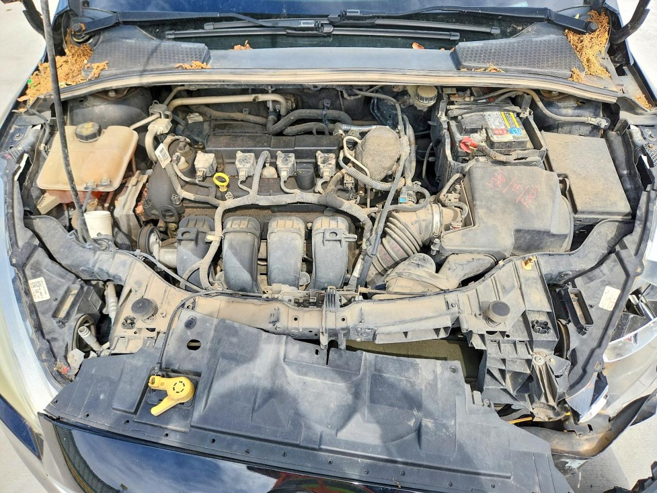 2016 FORD FOCUS