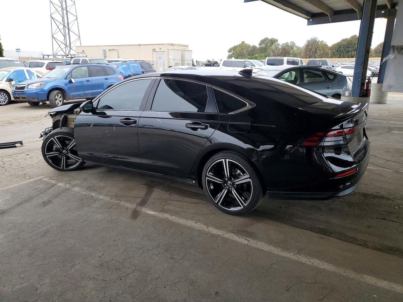 2025 HONDA ACCORD