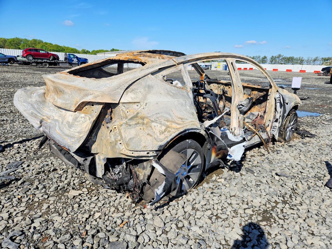2020 TESLA MODEL Y