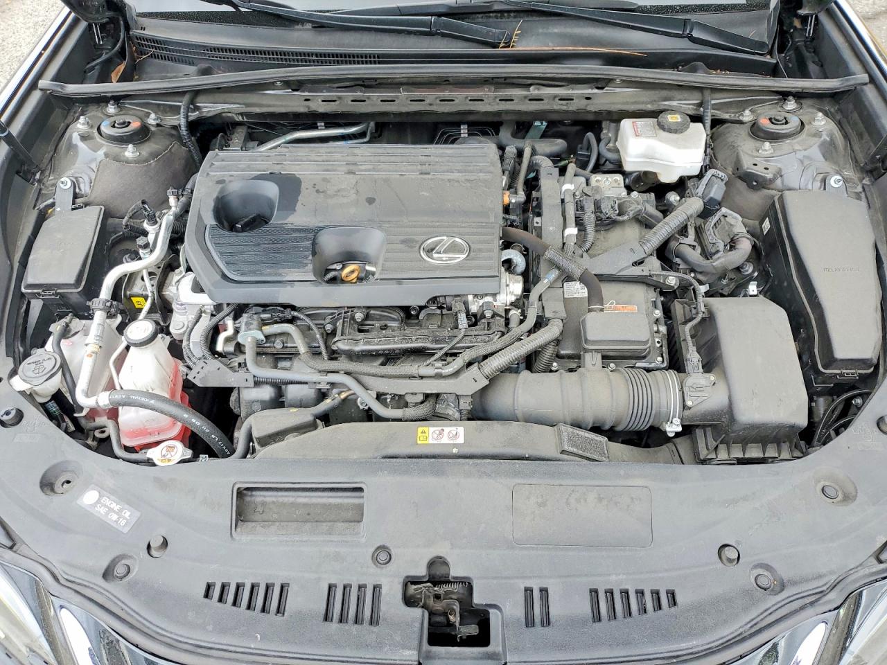 2024 LEXUS ES300