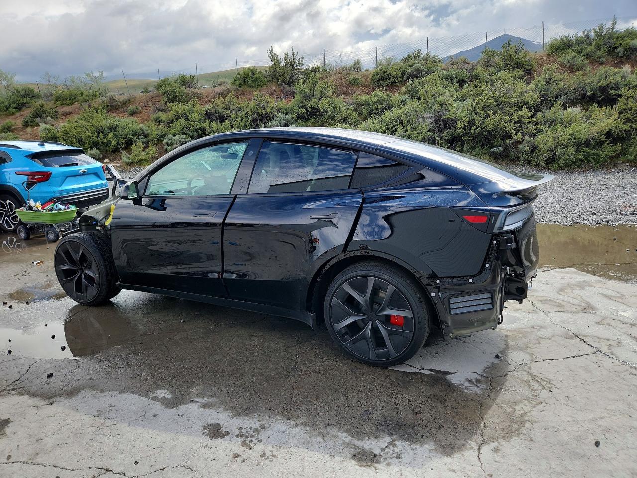 2026 TESLA MODEL Y
