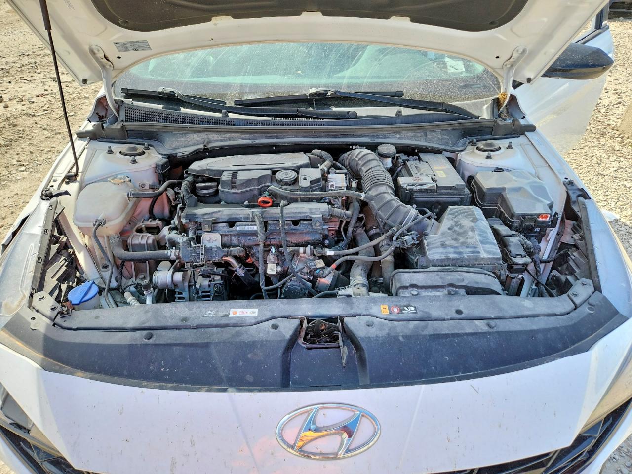 2023 HYUNDAI ELANTRA