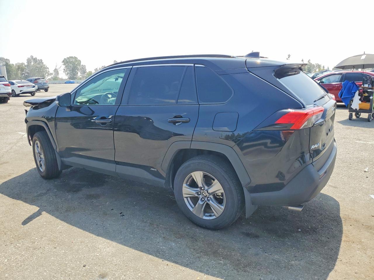 2025 TOYOTA RAV4