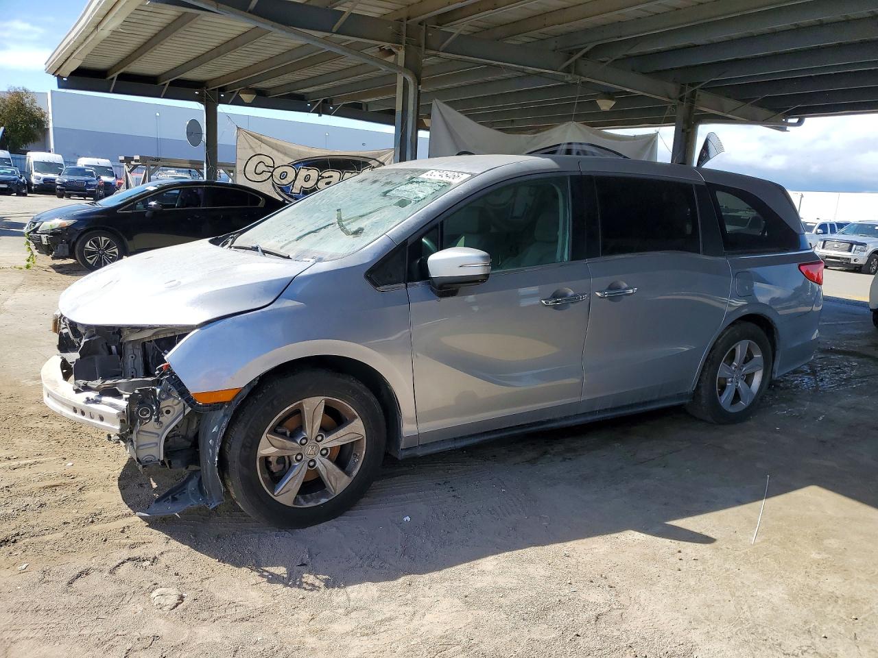2019 HONDA All Models