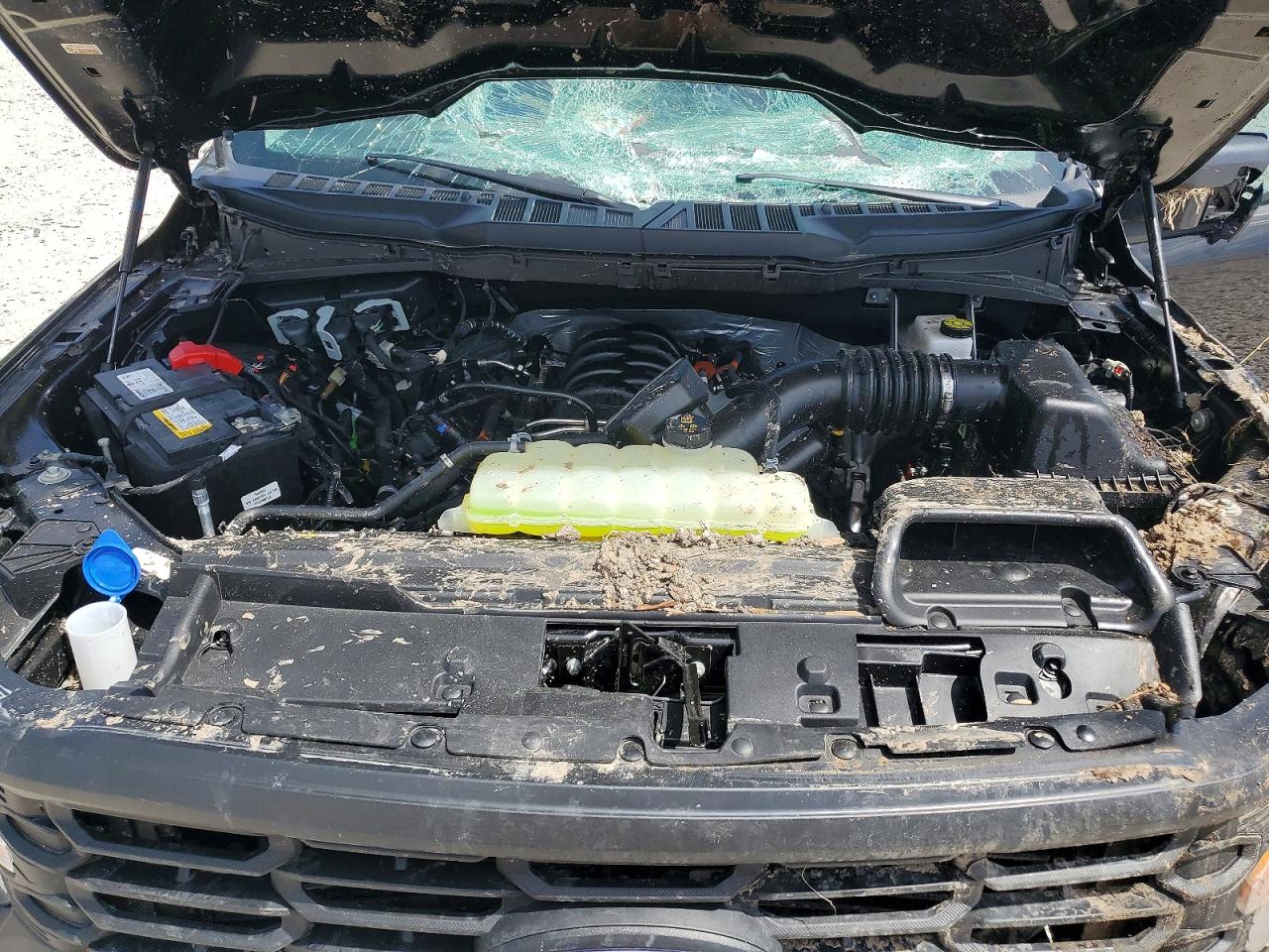 2025 FORD F150