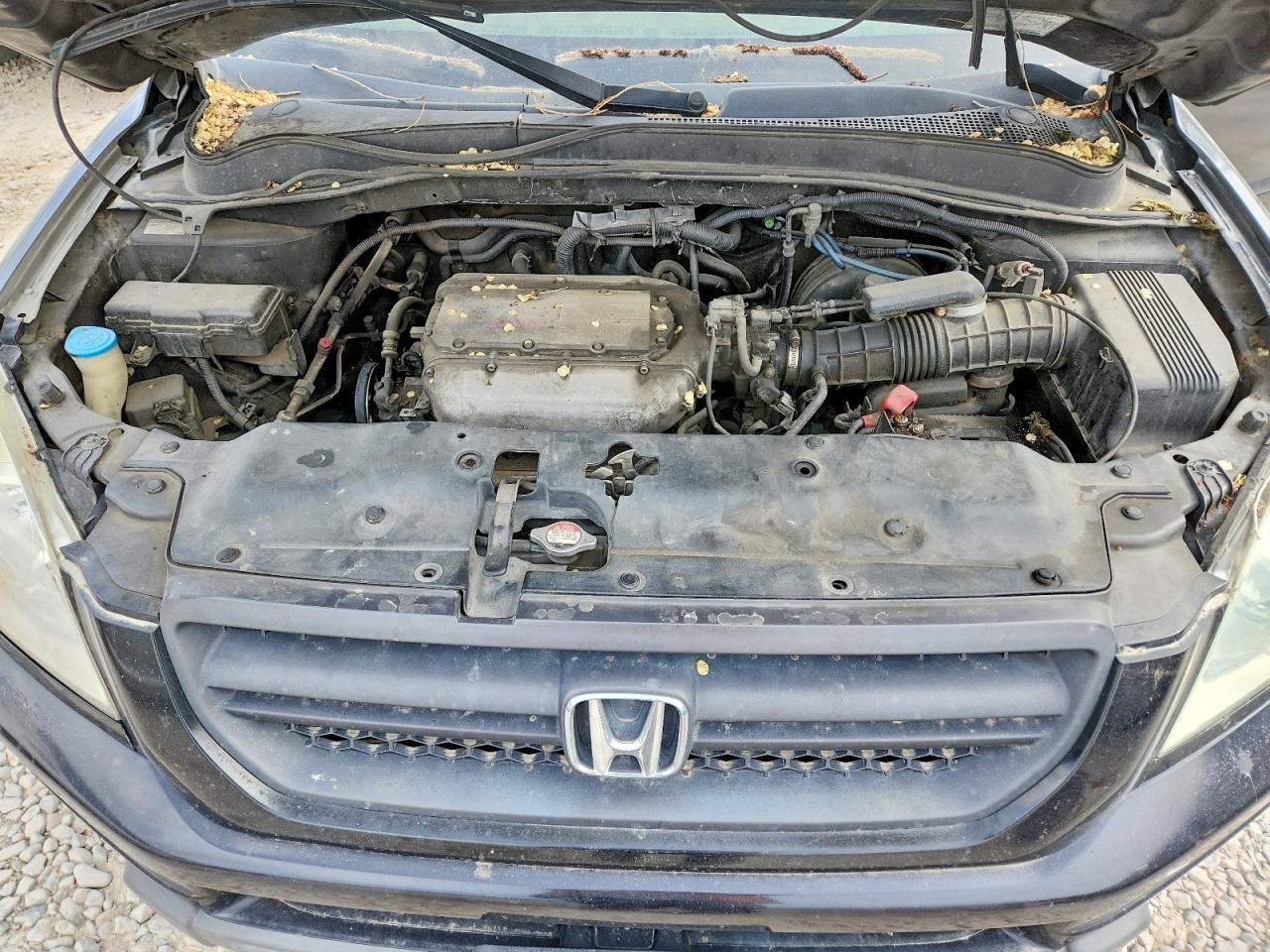 2004 HONDA PILOT