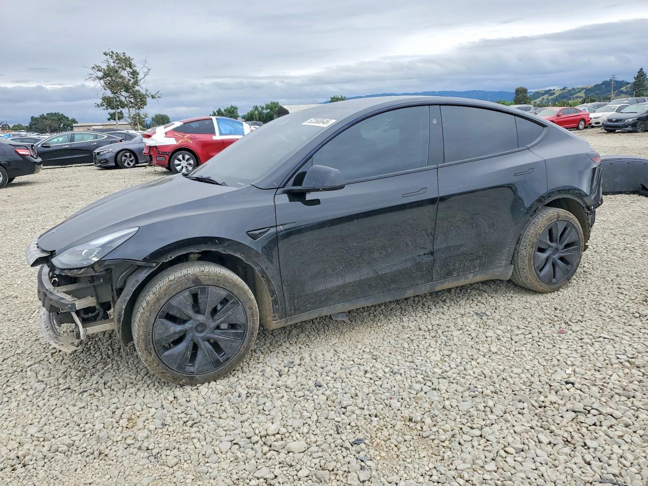 2025 TESLA MODEL Y