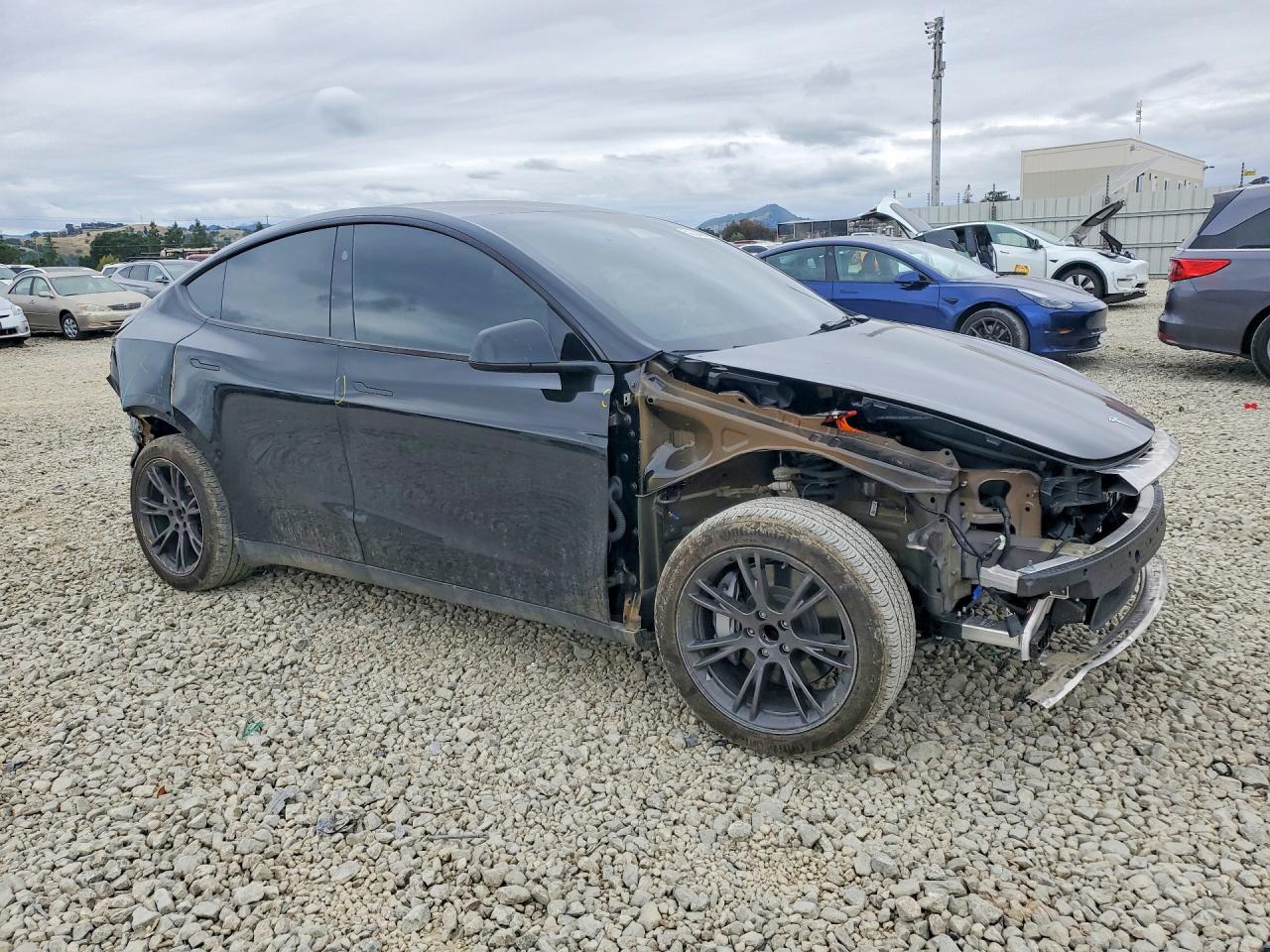 2025 TESLA MODEL Y