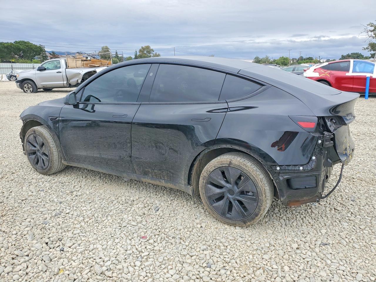 2025 TESLA MODEL Y