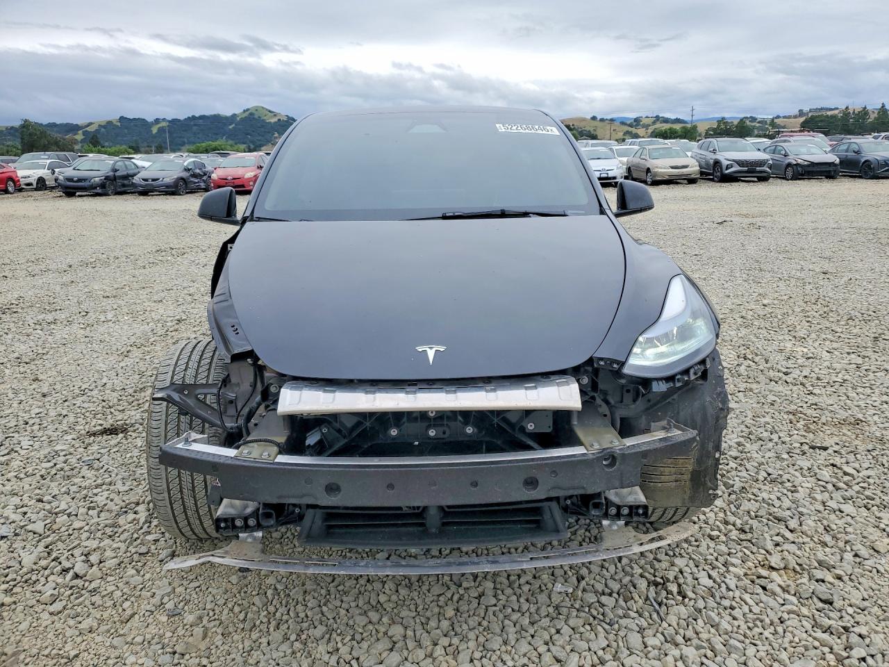 2025 TESLA MODEL Y