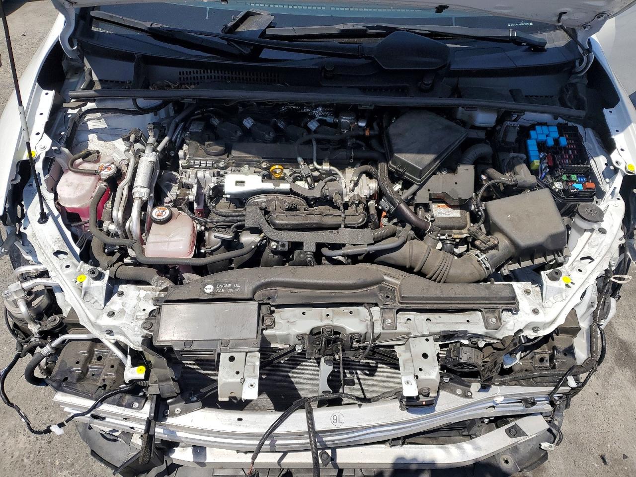 2024 TOYOTA PRIUS