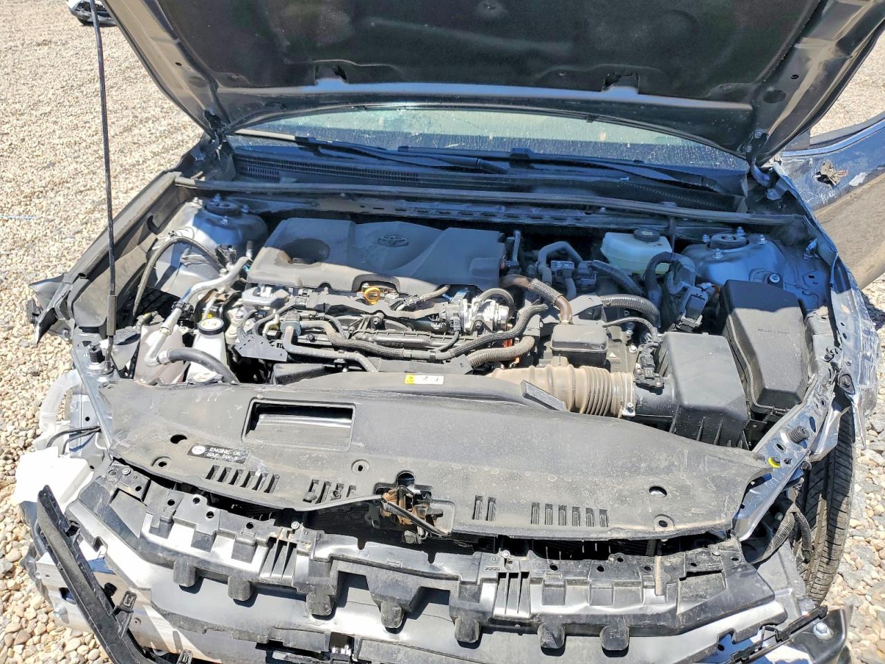 2026 TOYOTA CAMRY