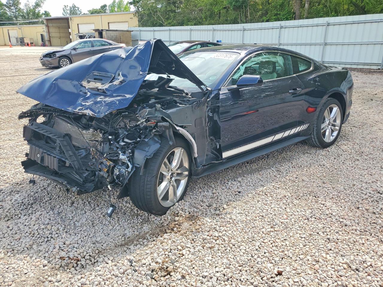 2021 FORD ALL Models