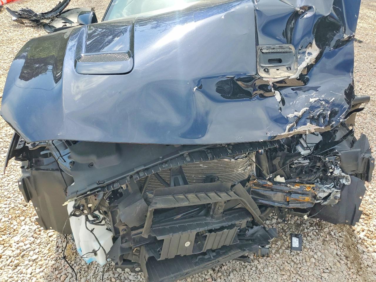 2021 FORD ALL Models