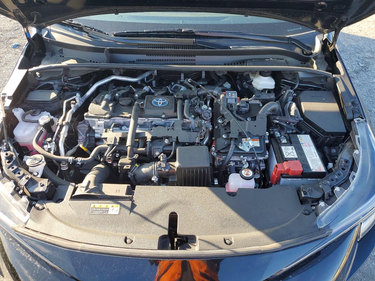 2024 TOYOTA COROLLA