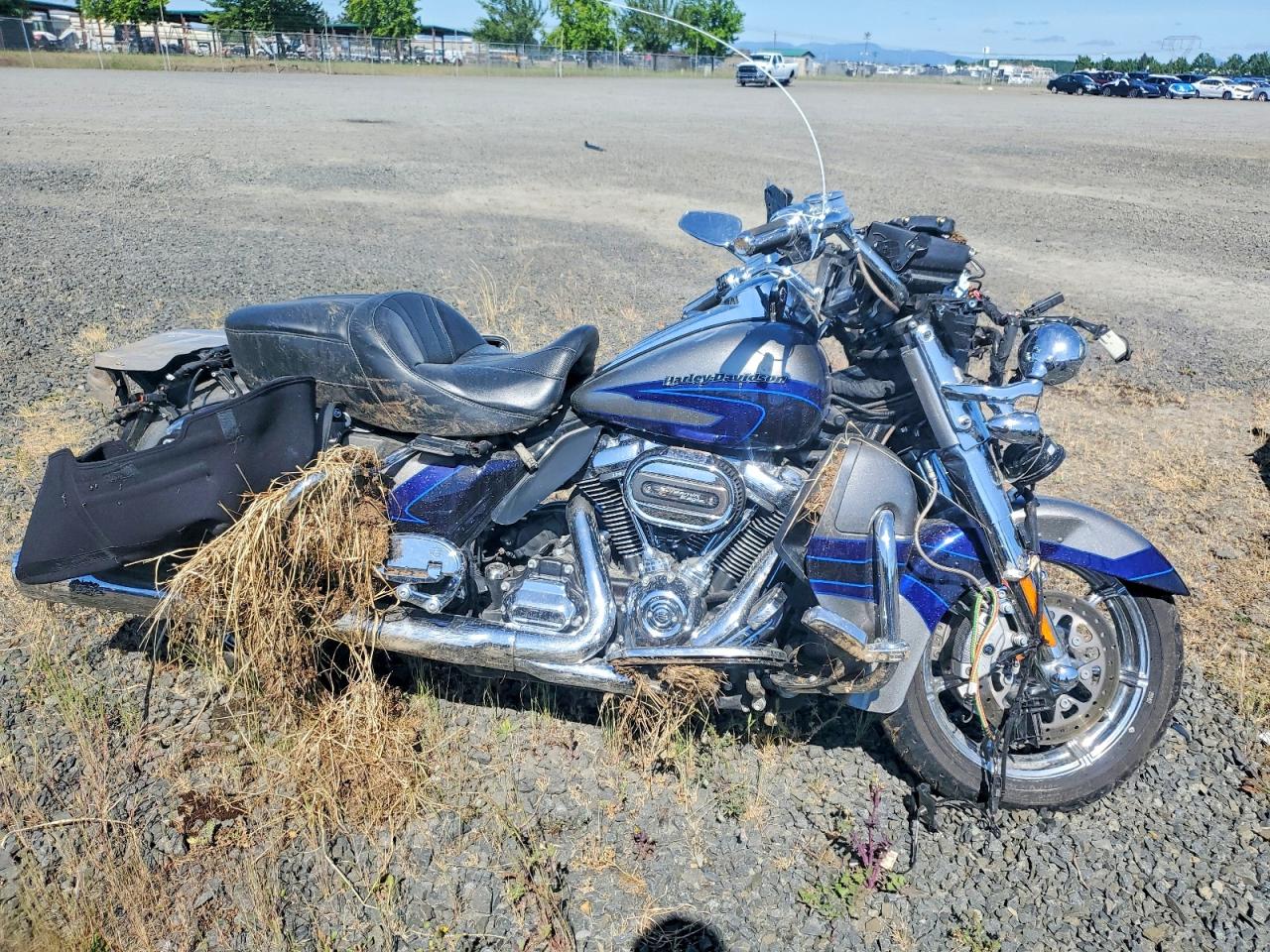 2017 HARLEY-DAVIDSON FLSE