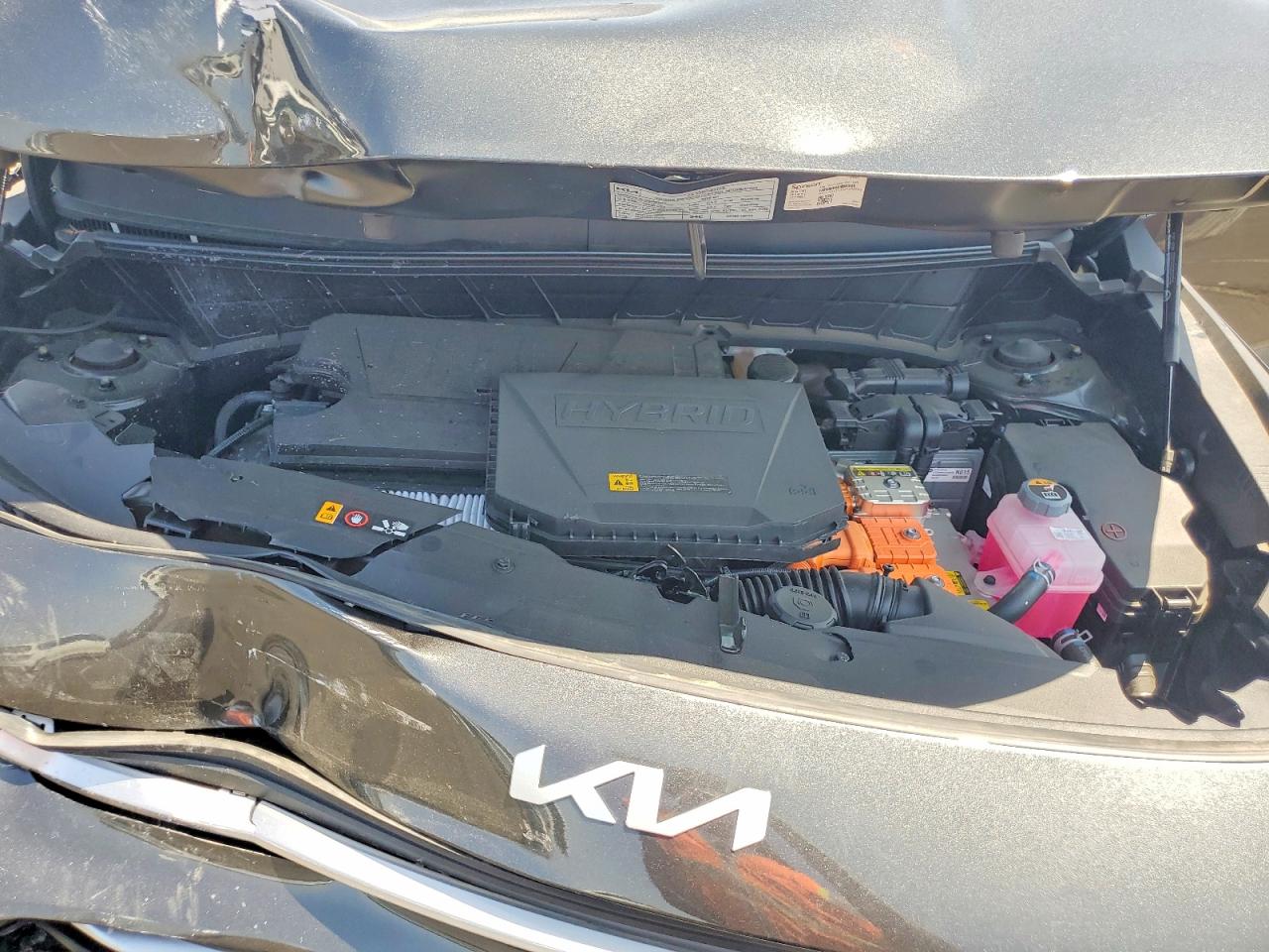 2025 KIA NIRO