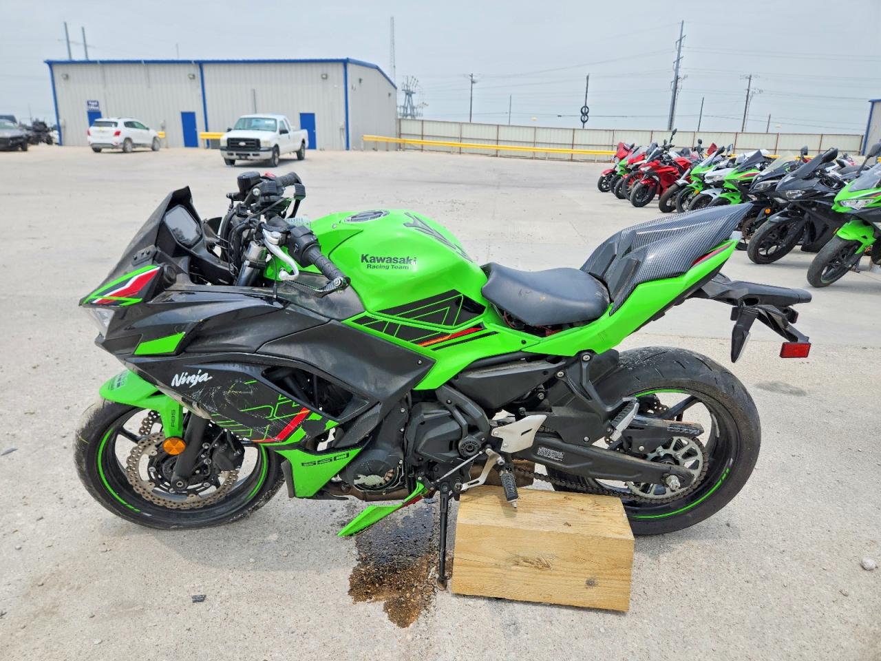 2024 KAWASAKI EX