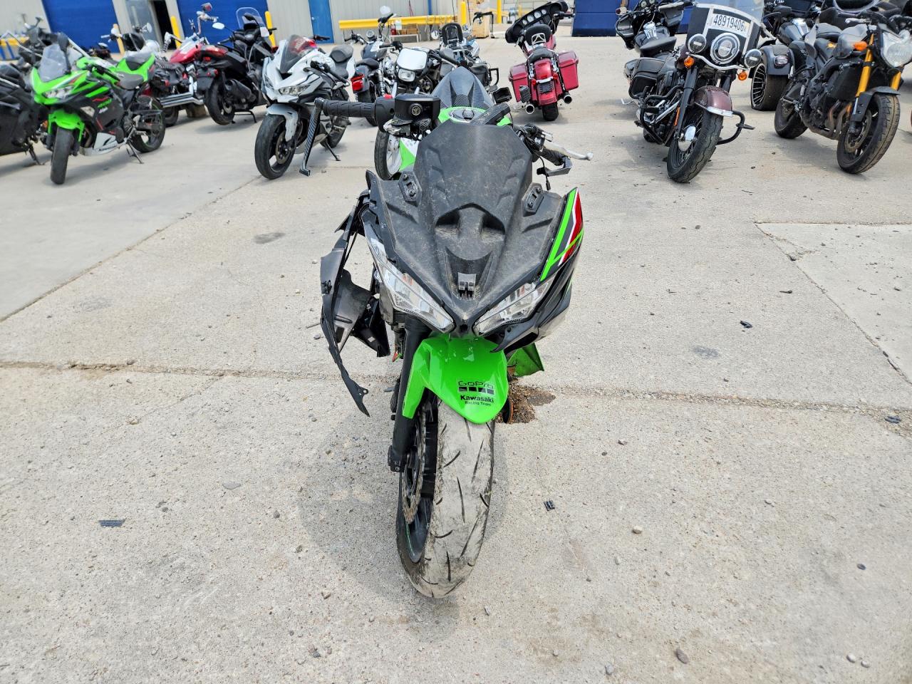 2024 KAWASAKI EX