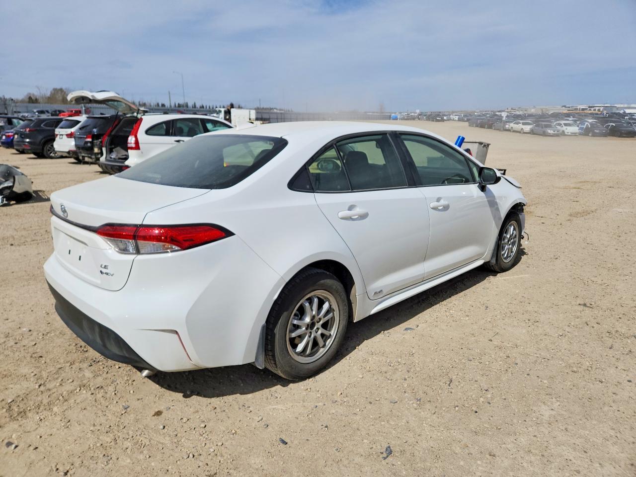 2026 TOYOTA COROLLA