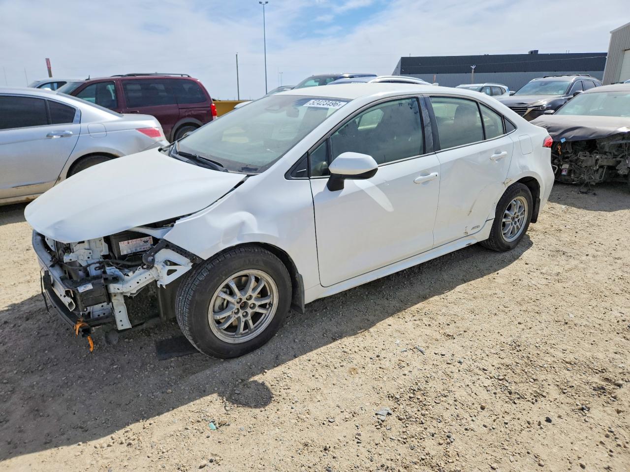 2026 TOYOTA COROLLA