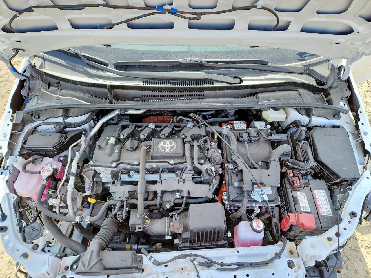 2026 TOYOTA COROLLA