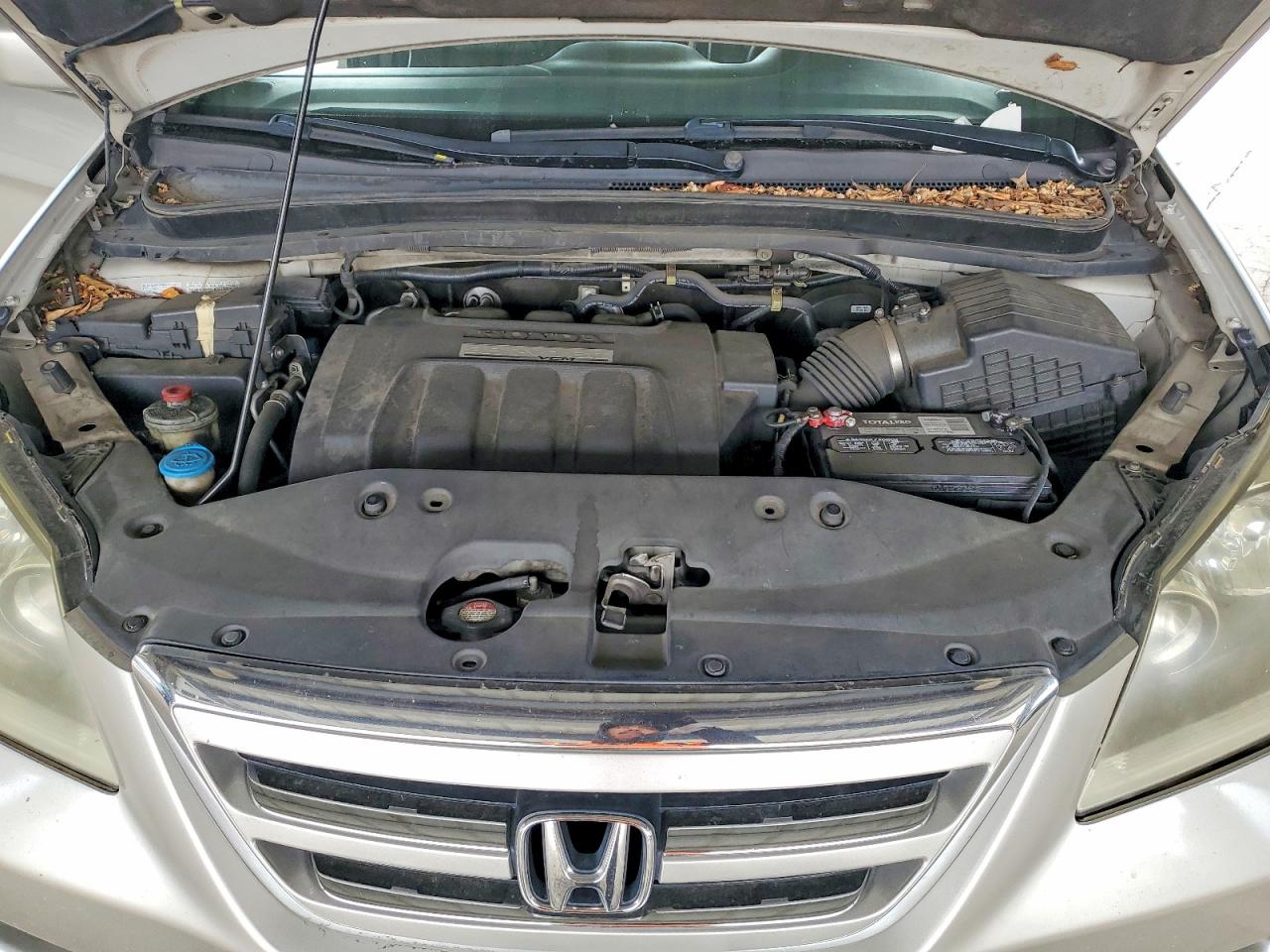 2007 HONDA All Models