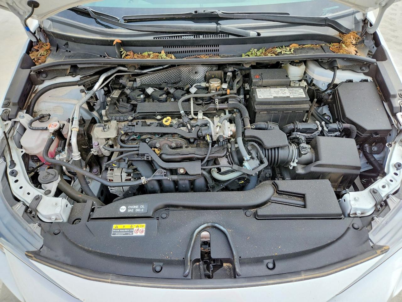 2024 TOYOTA COROLLA