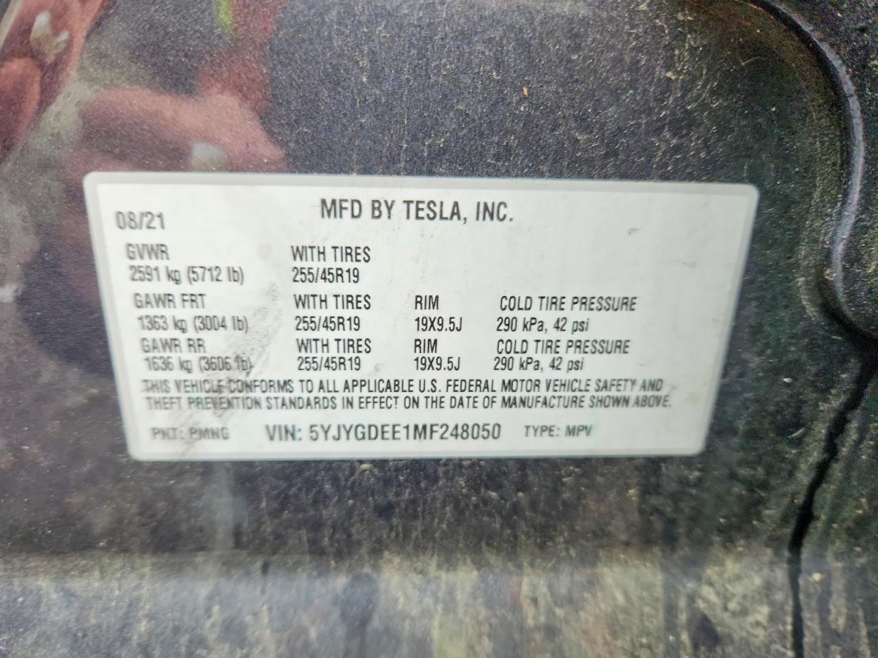 2021 TESLA MODEL Y