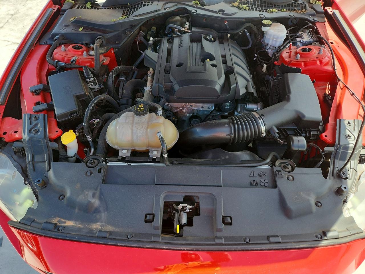 2019 FORD MUSTANG