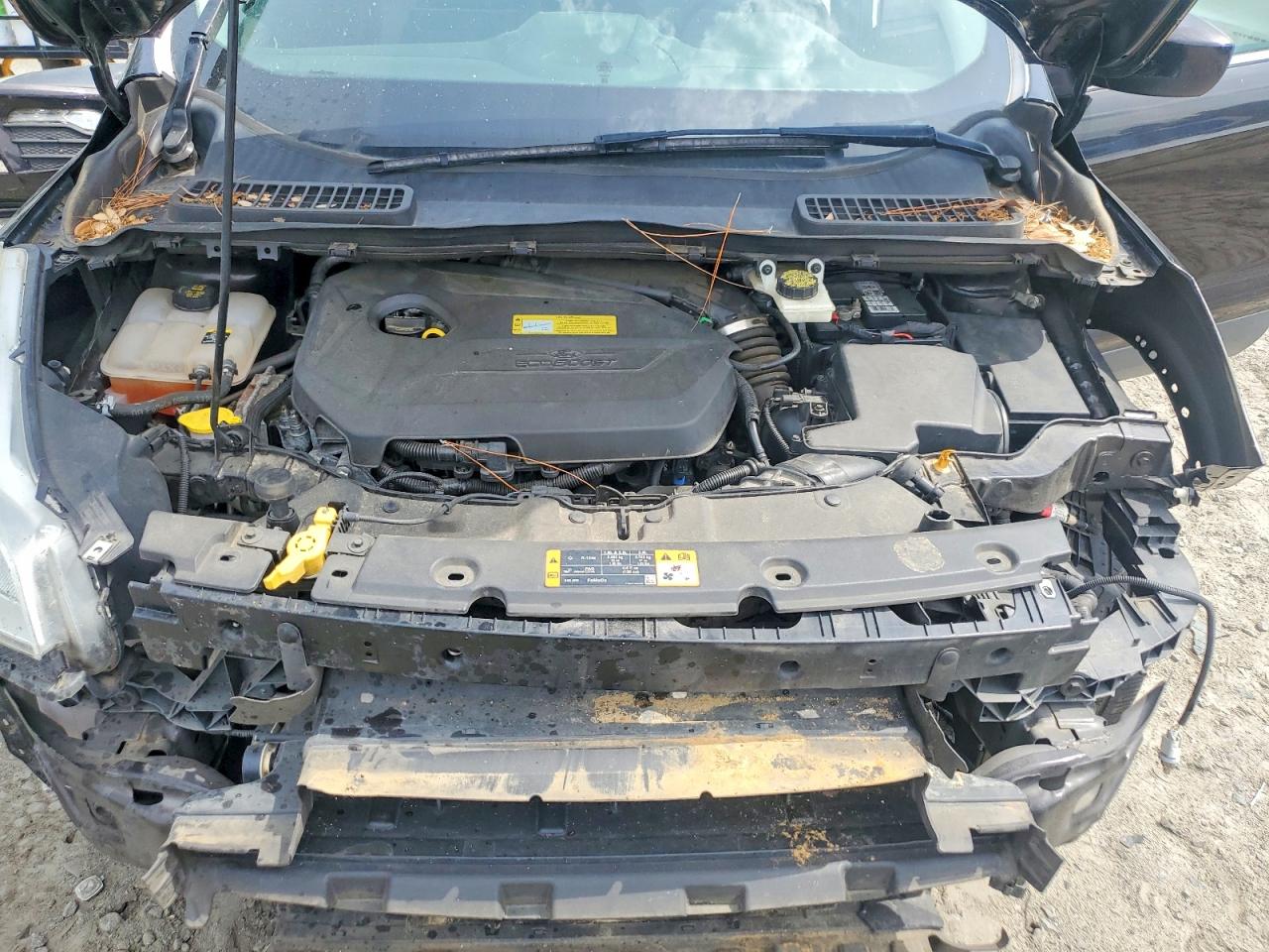 2013 FORD ESCAPE