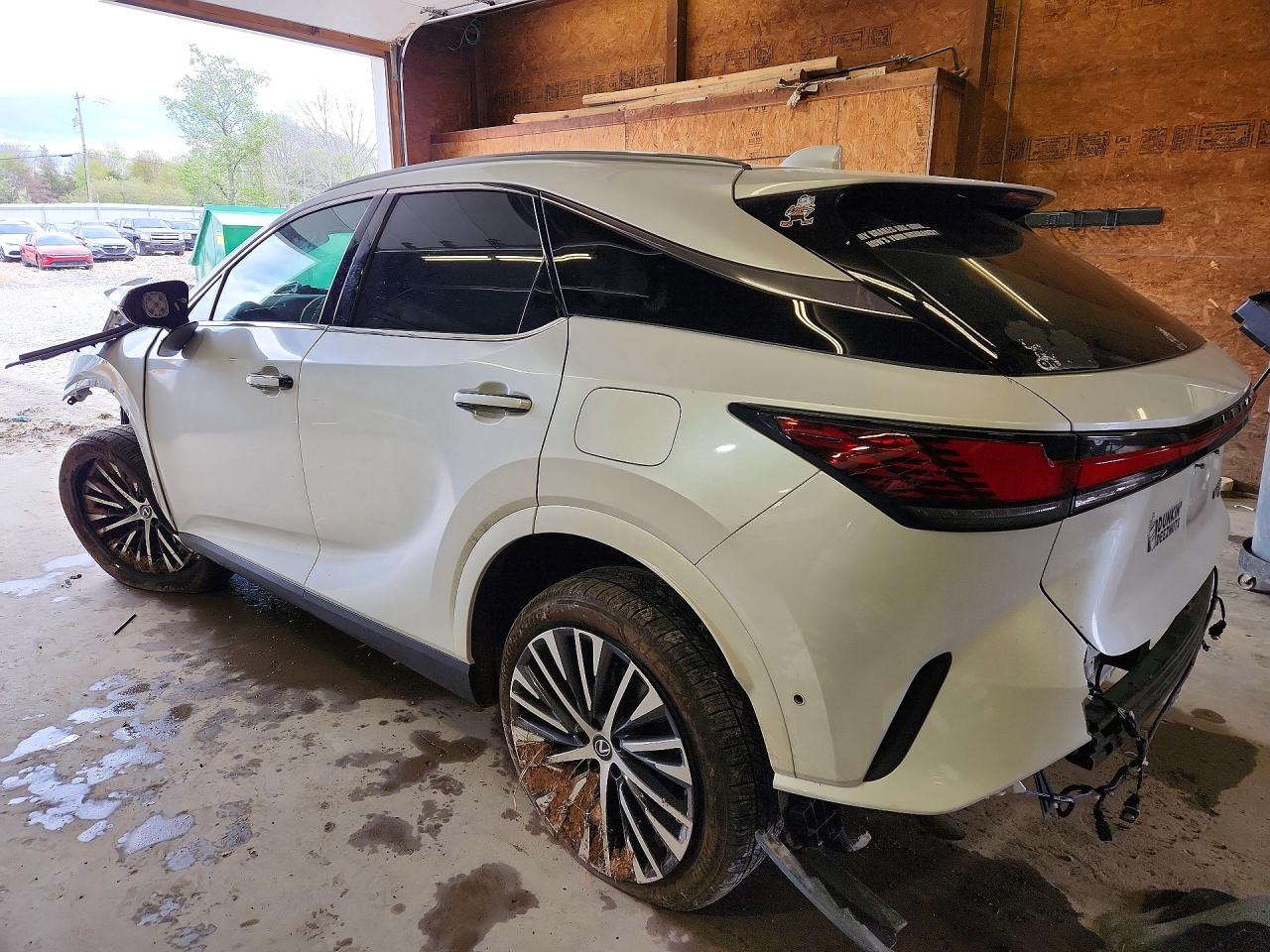 2025 LEXUS