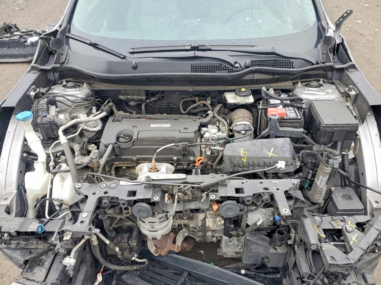 2019 HONDA CRV