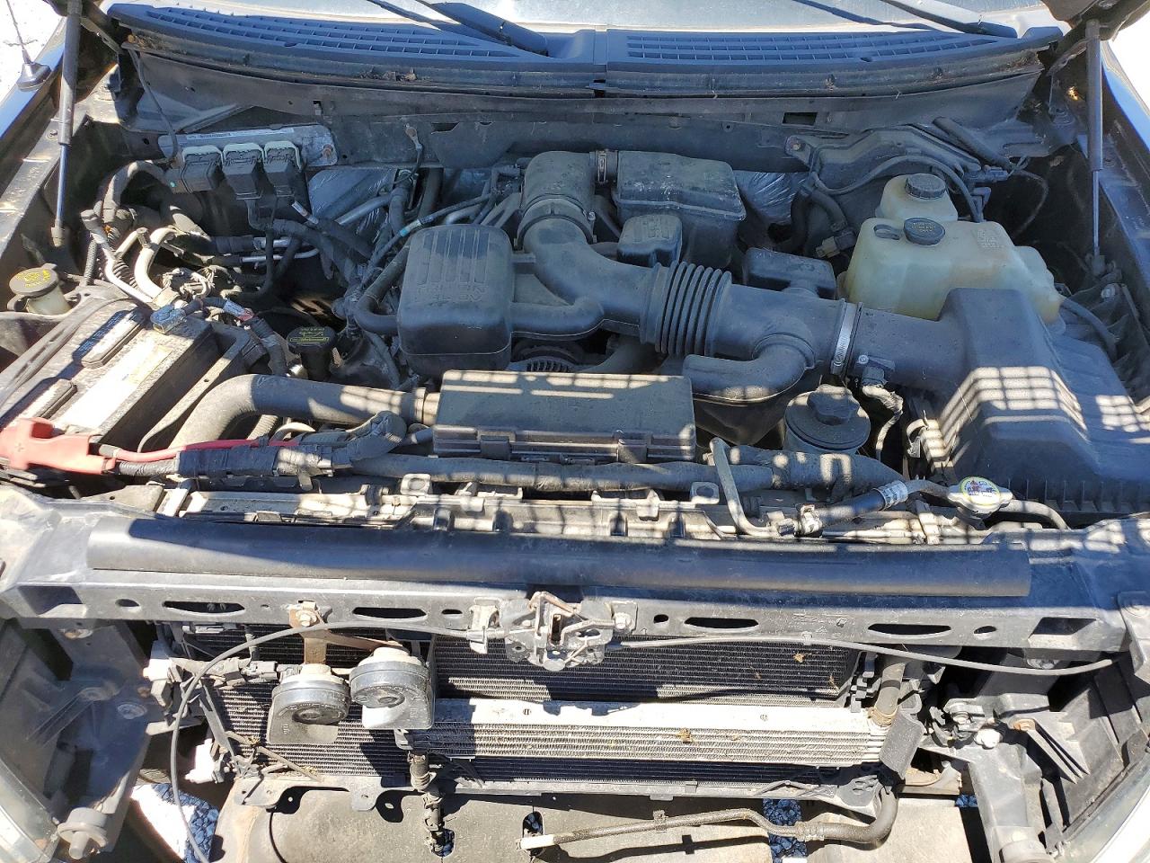 2010 FORD F-150