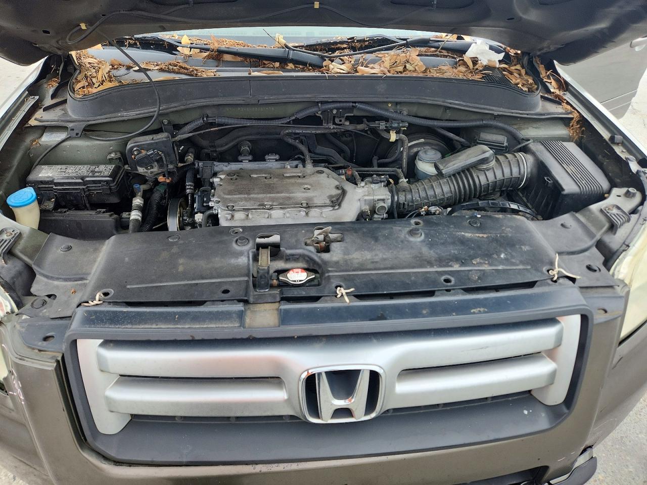 2006 HONDA PILOT