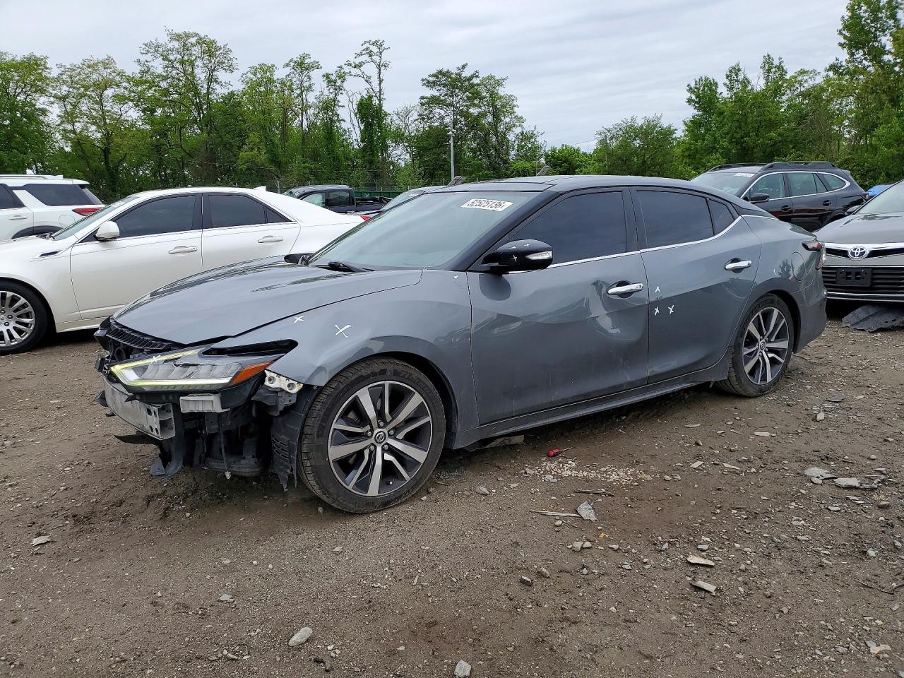2019 NISSAN MAXIMA