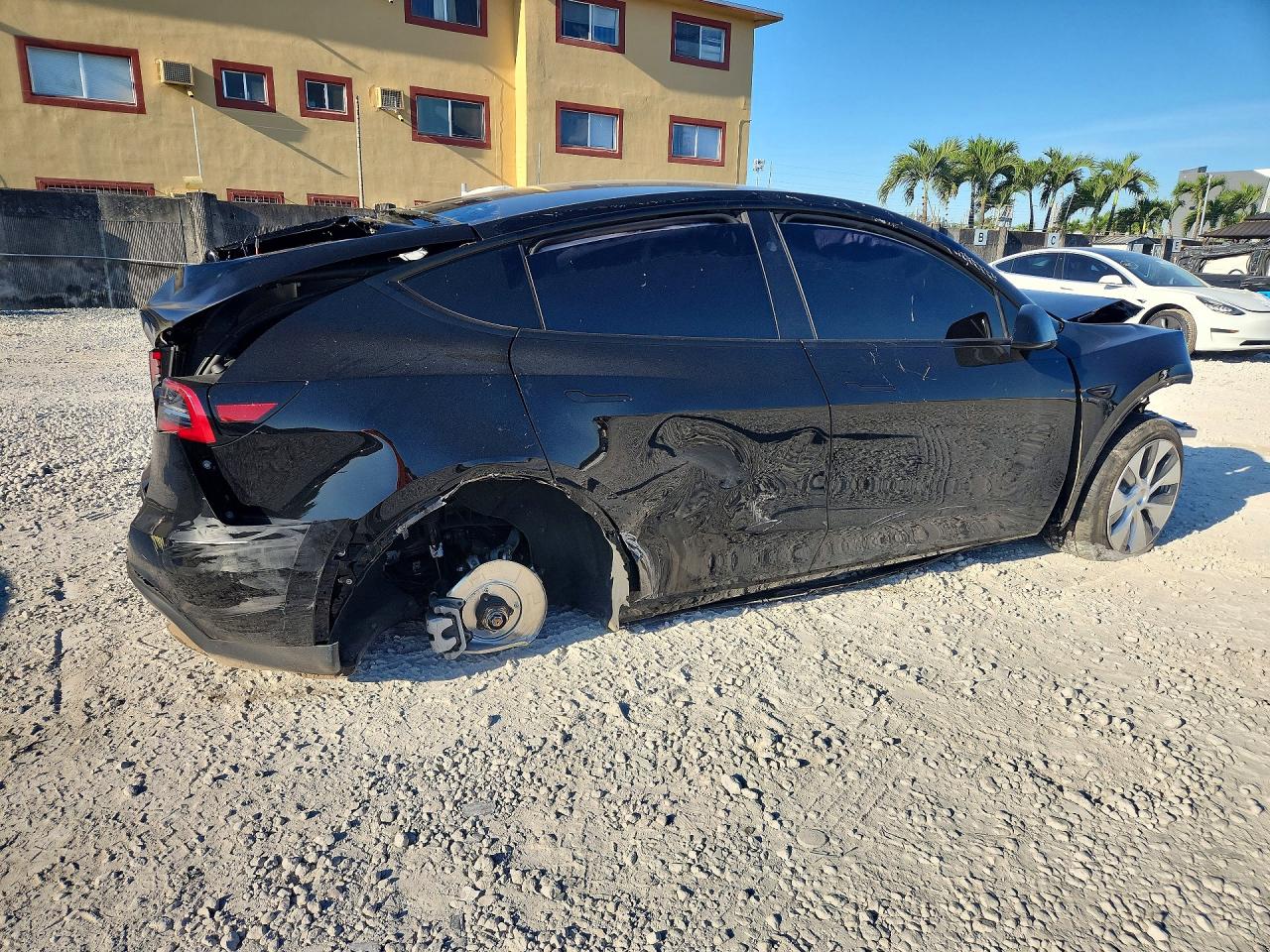 2024 TESLA MODEL Y