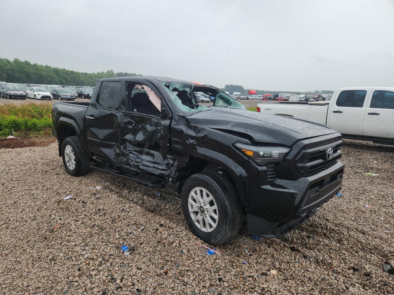2024 TOYOTA TACOMA