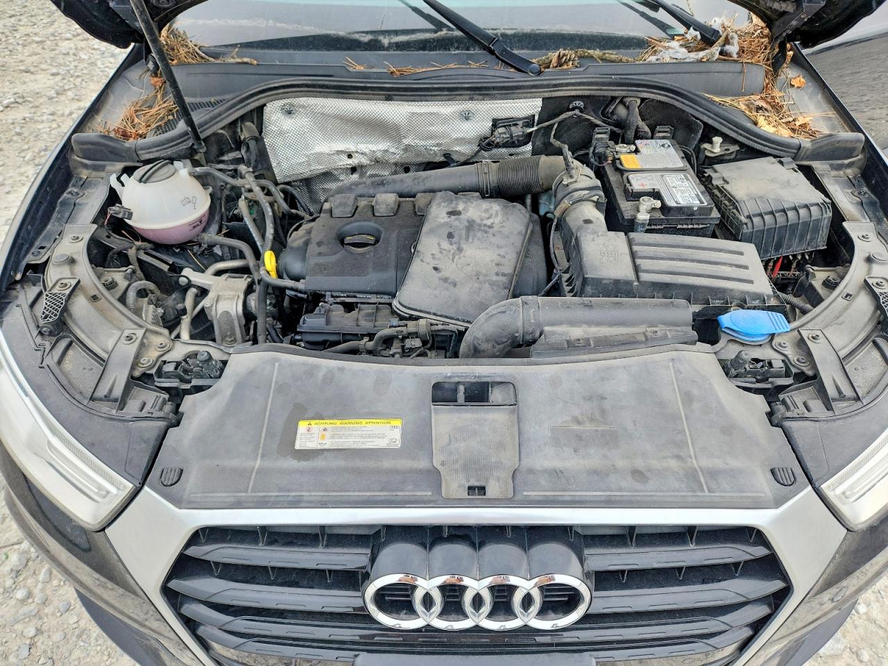 2017 AUDI Q3