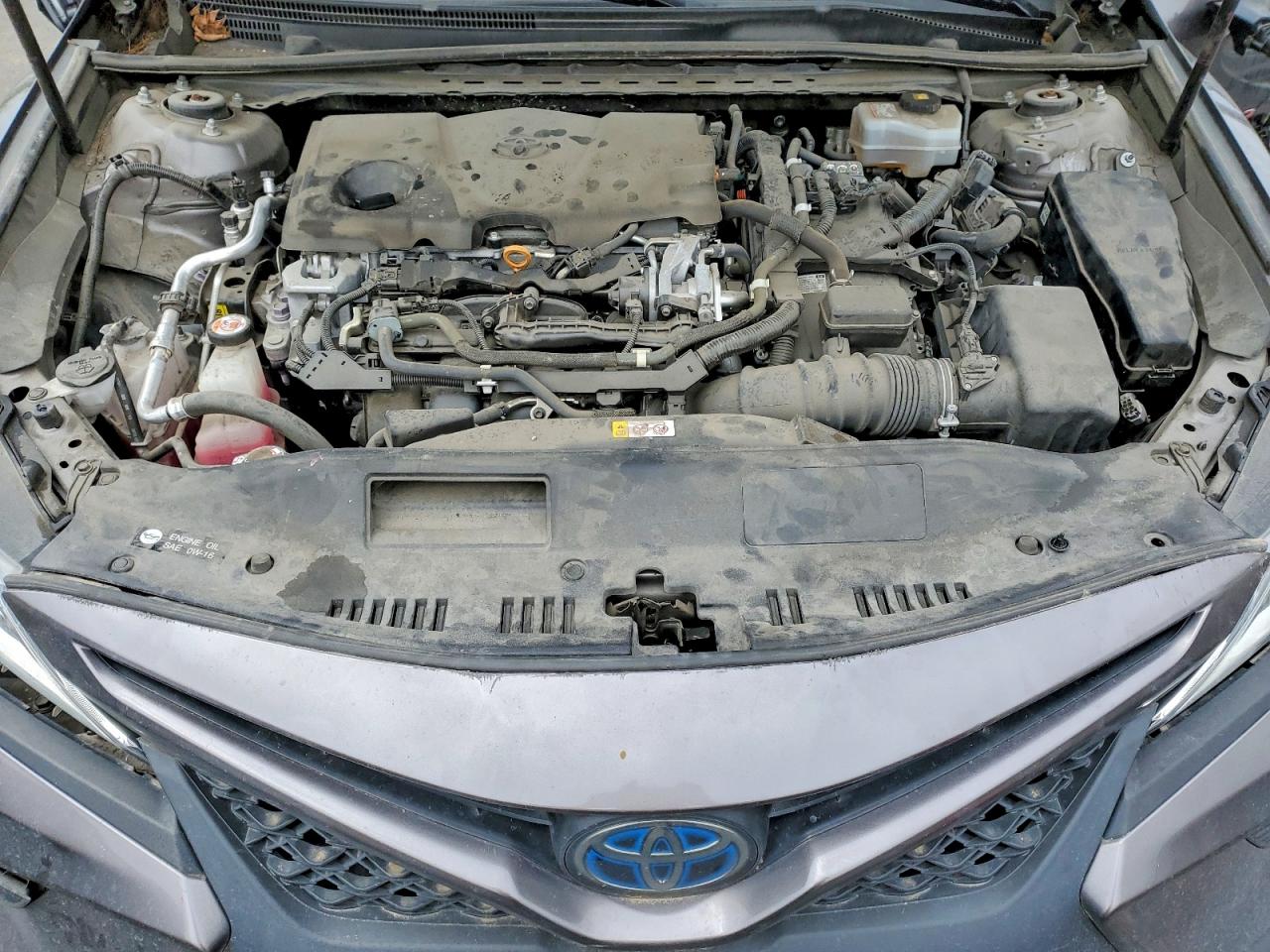 2020 TOYOTA CAMRY SOLA