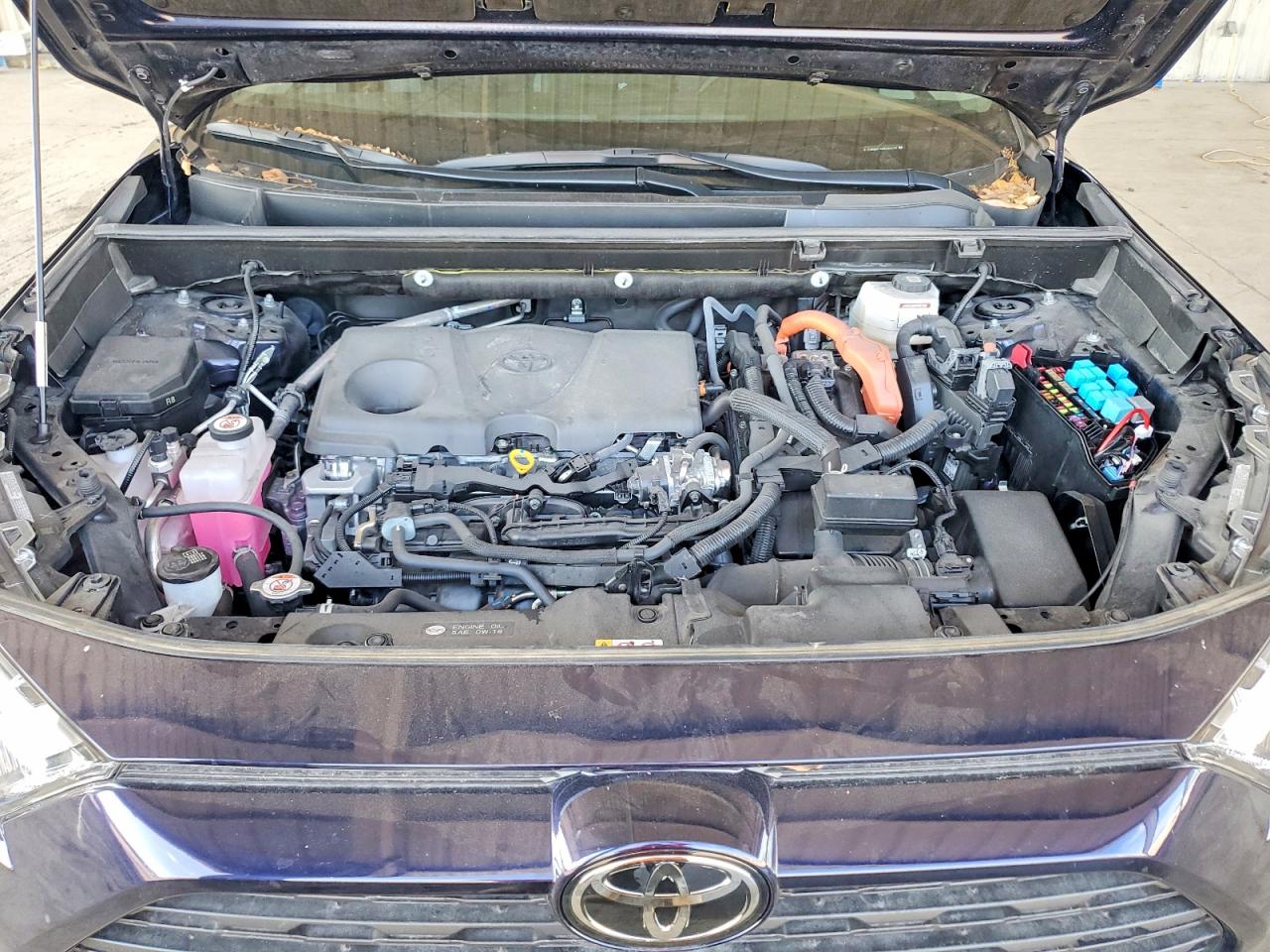 2025 TOYOTA RAV4