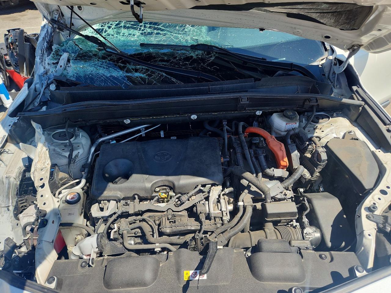 2021 TOYOTA VENZA