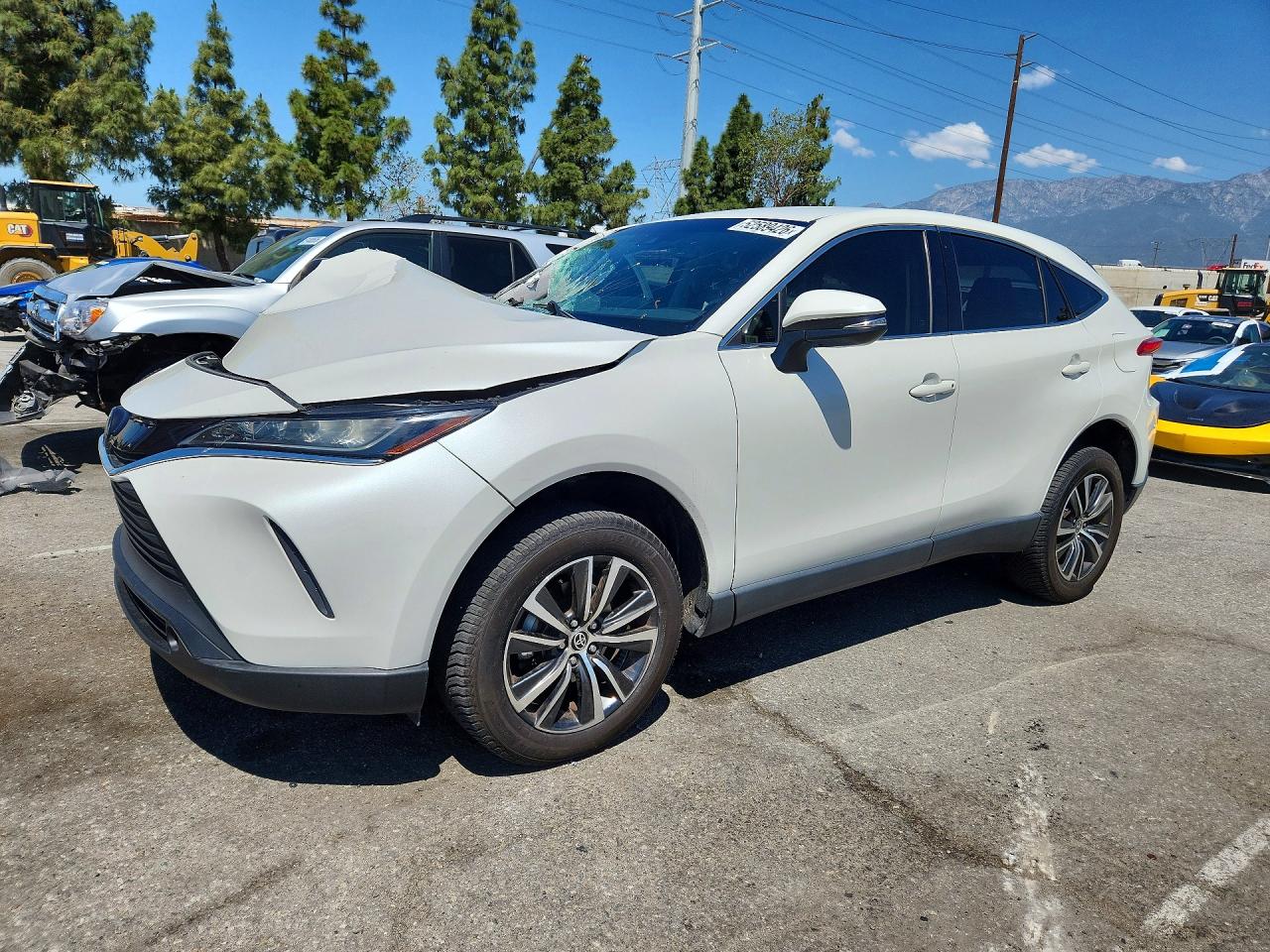 2021 TOYOTA VENZA