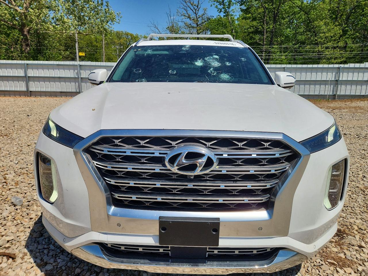 2020 HYUNDAI PALISADE
