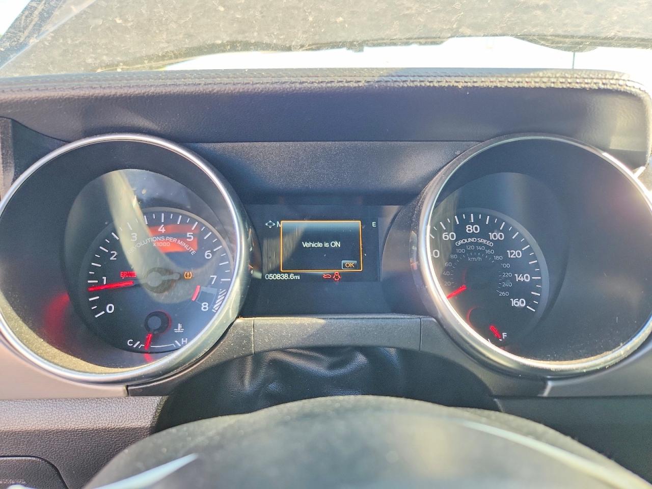 2019 FORD MUSTANG