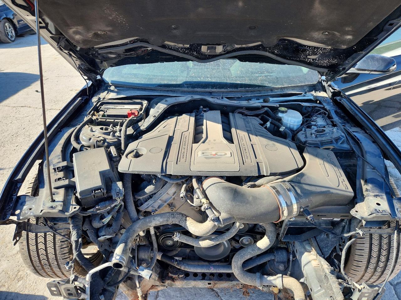 2019 FORD MUSTANG